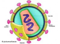 /album/fotogaleria/esq-virus-jpg1/